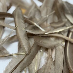 All Natural Mauve Colored Chicken Feathers. Pack of 20